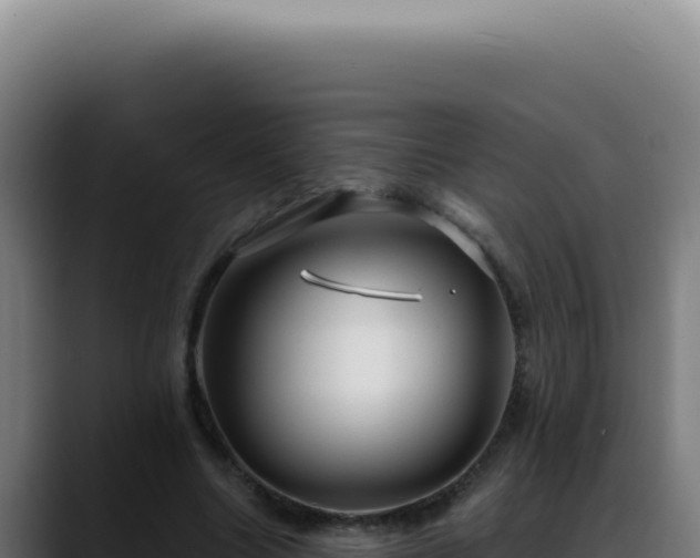 X0000088410538200705291451