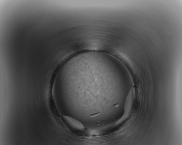 X0000088410540200705291451