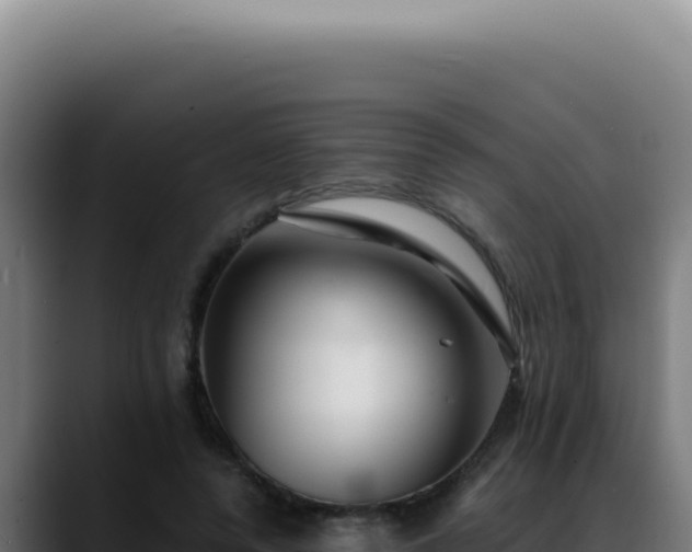 X0000088410544200705291451
