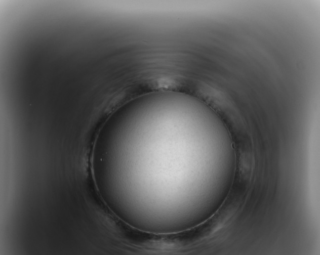 X0000088410545200705291451