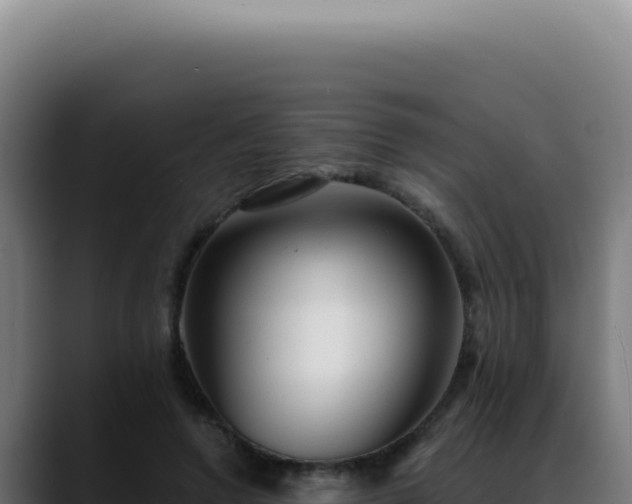 X0000088410546200705291451