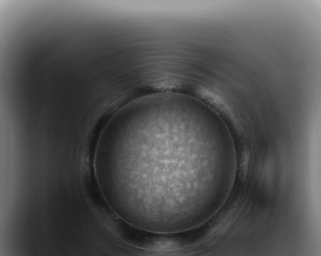 X0000088410547200705291451