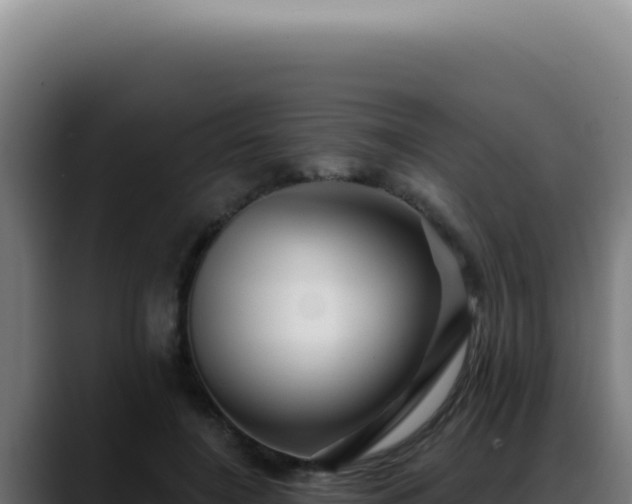 X0000088410548200705291451