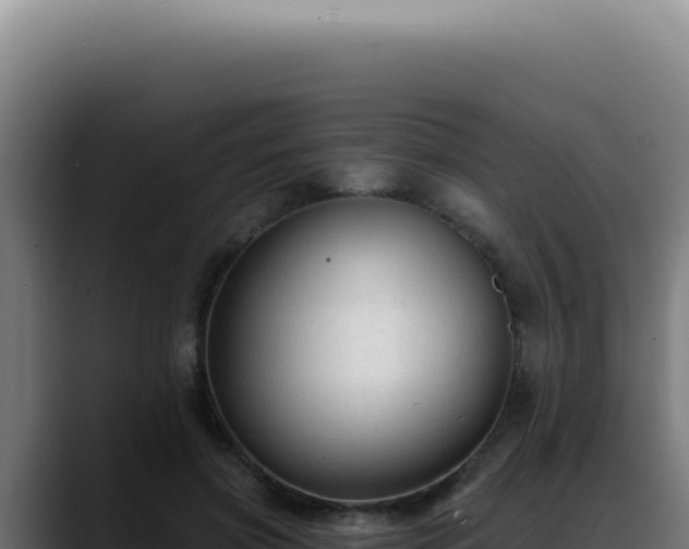 X0000088410549200705291451