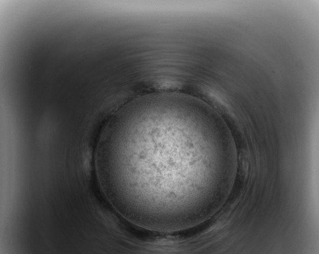 X0000088410550200705291451