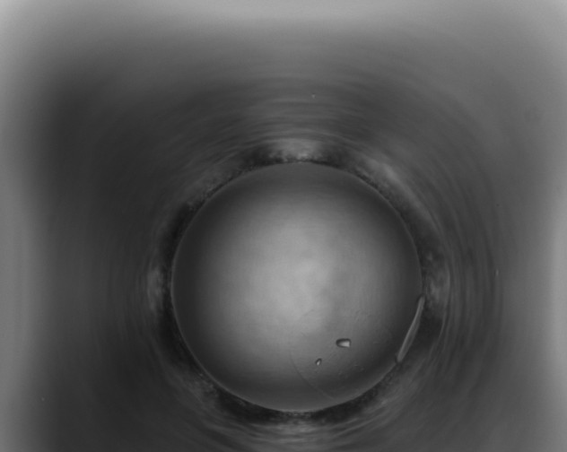 X0000088410551200705291451
