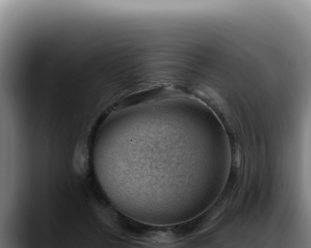 X0000088410552200705291451