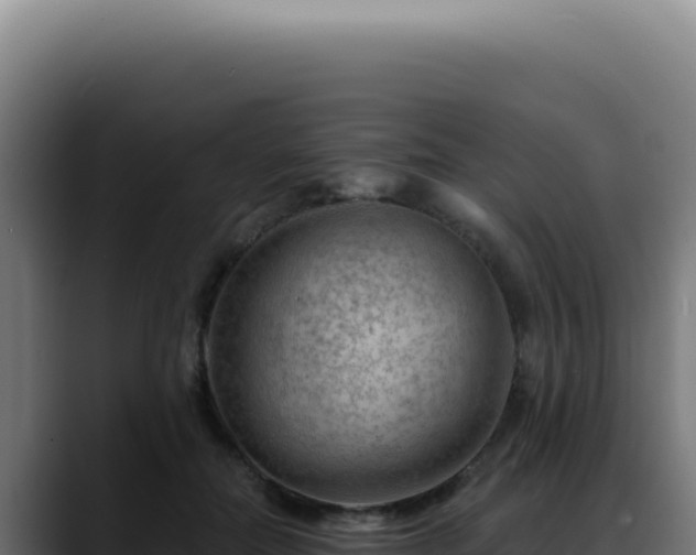X0000088410554200705291451