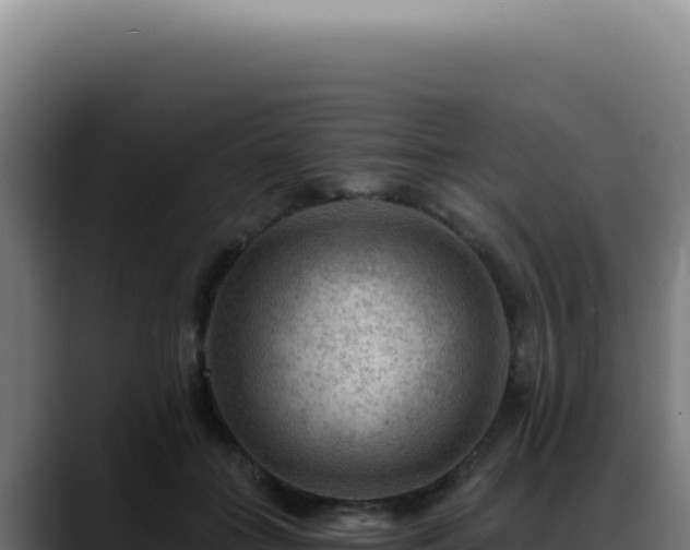 X0000088410555200705291451