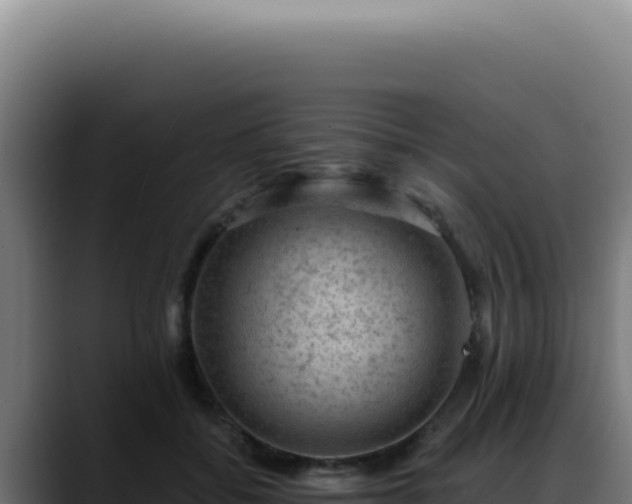 X0000088410556200705291451