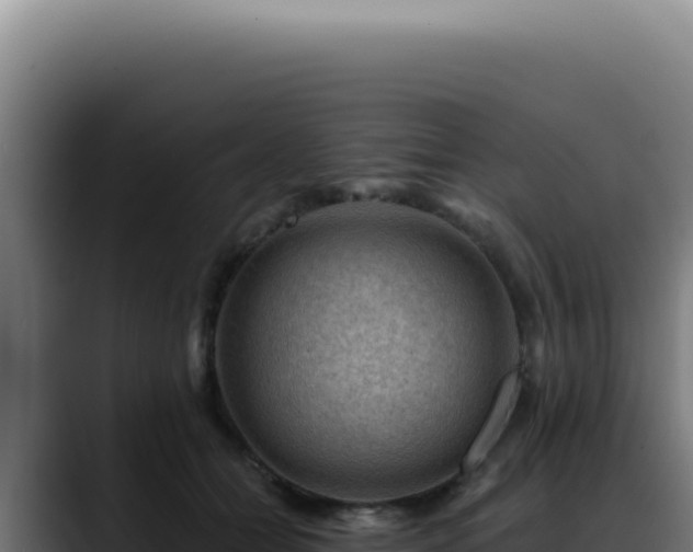 X0000088410558200705291451
