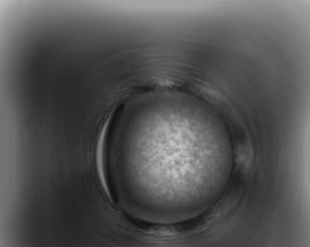 X0000088410559200705291451