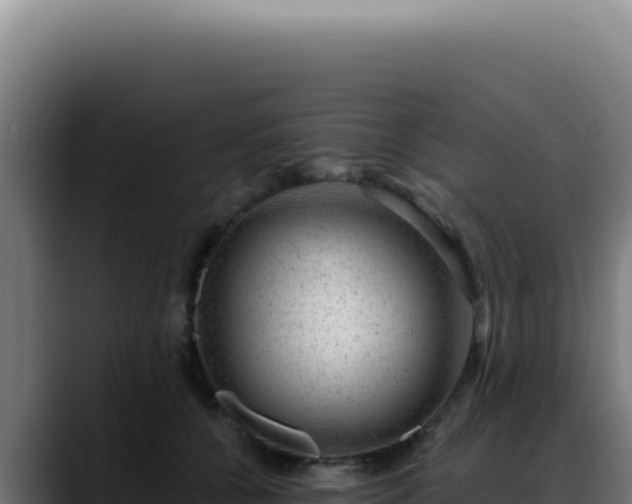 X0000088410560200705291451
