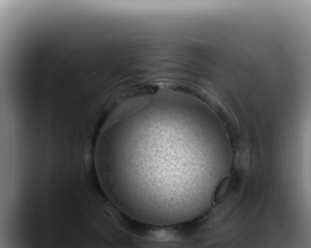 X0000088410561200705291451