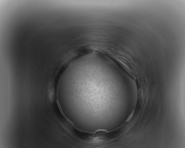 X0000088410564200705291451