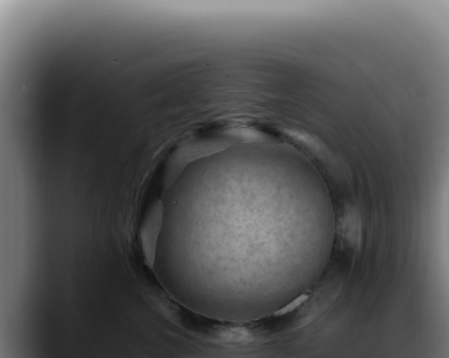 X0000088410572200705291451
