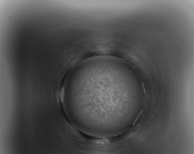 X0000088410576200705291451