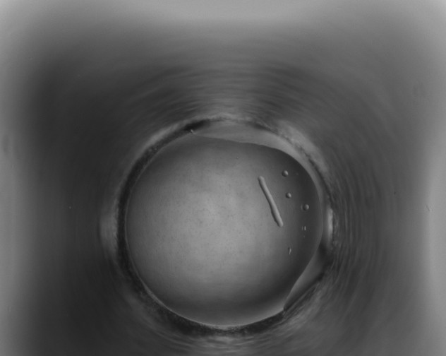 X0000088410580200705291451