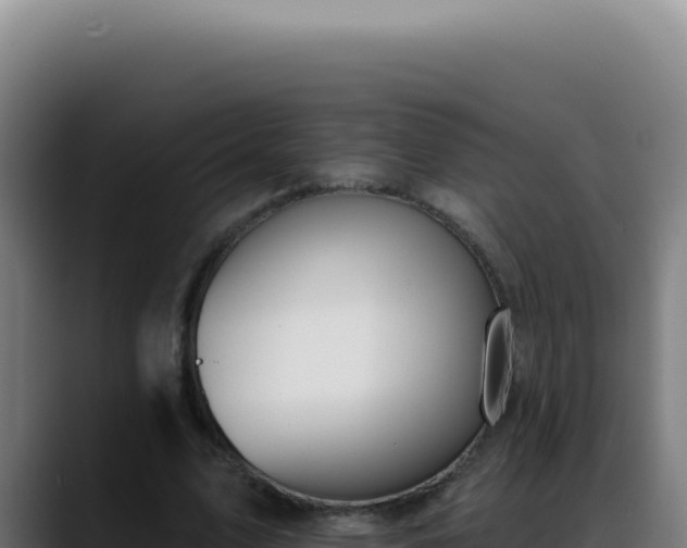 X0000088410583200705291451