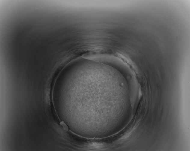 X0000088410585200705291451