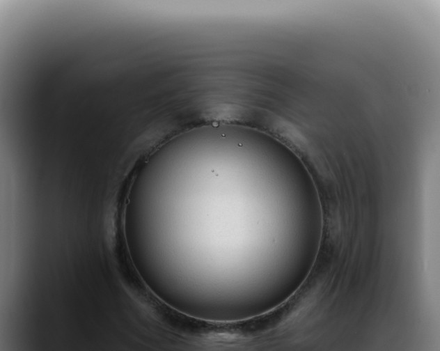 X0000088410586200705291451