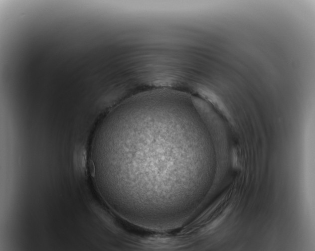 X0000088410589200705291451