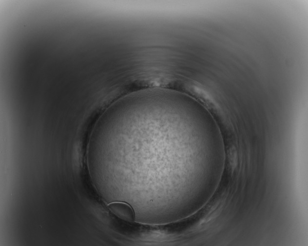 X0000088410594200705291451
