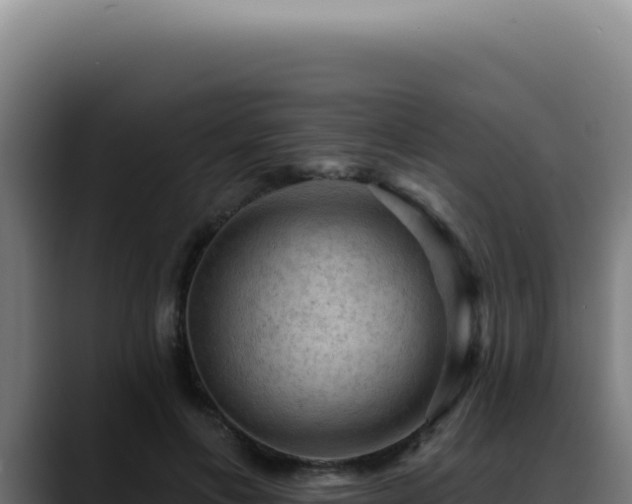 X0000088410597200705291451