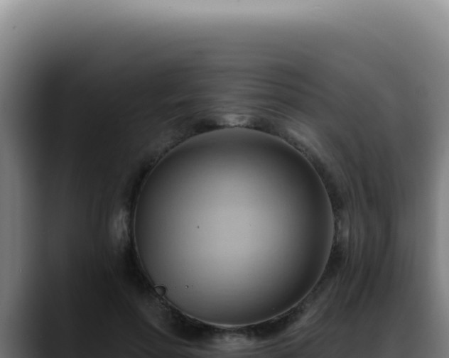 X0000088410598200705291451