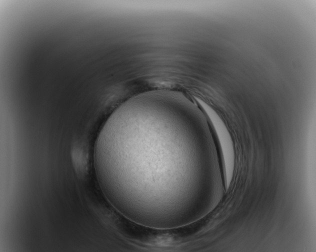 X0000088410600200705291451