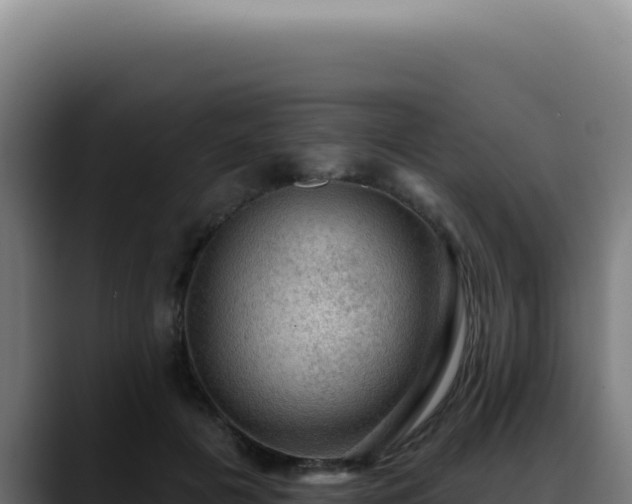 X0000088410601200705291451