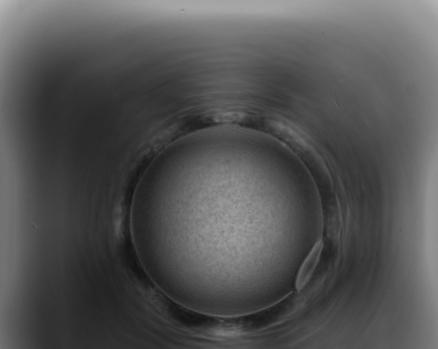 X0000088410604200705291450