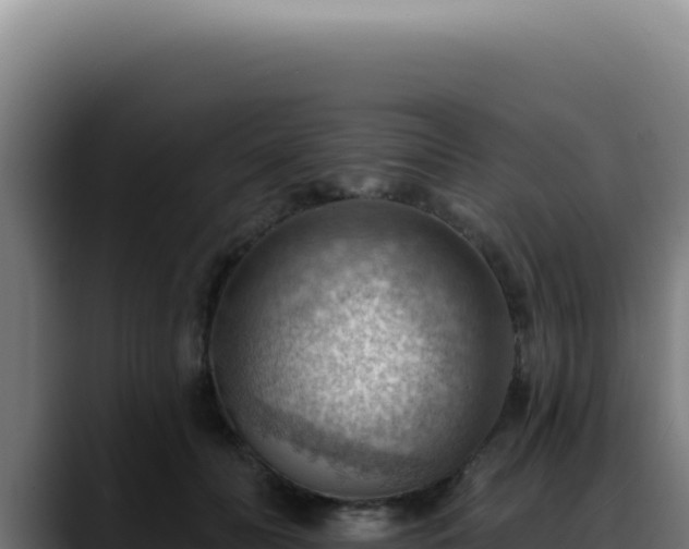 X0000088410606200705291450