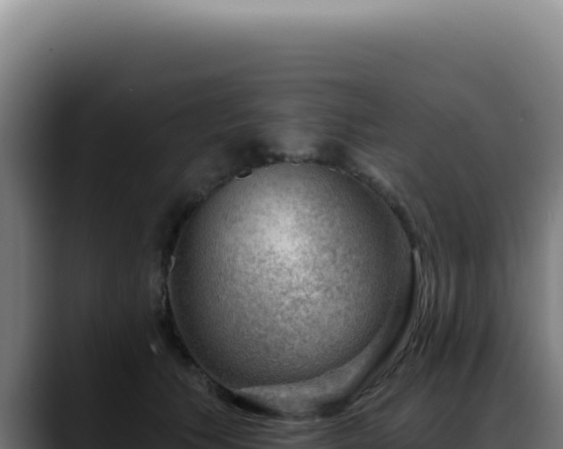 X0000088410609200705291450