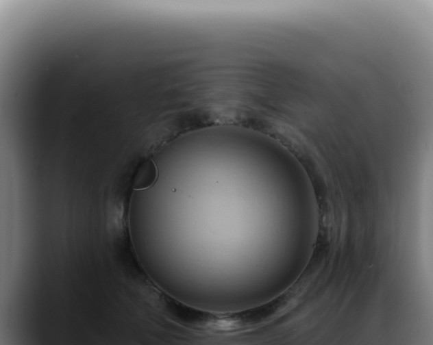 X0000088410610200705291450