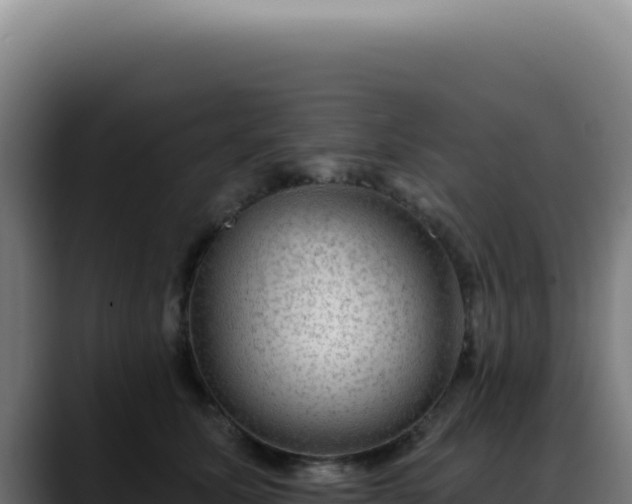 X0000088410611200705291450