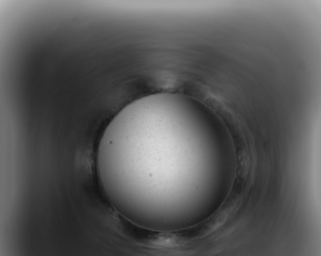 X0000088410612200705291450