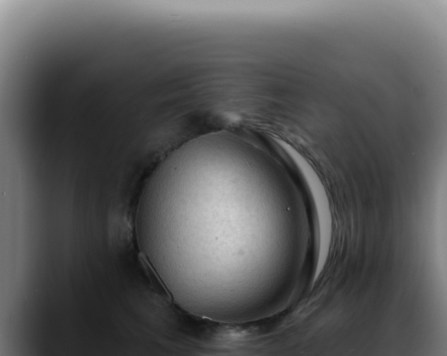 X0000088410613200705291450