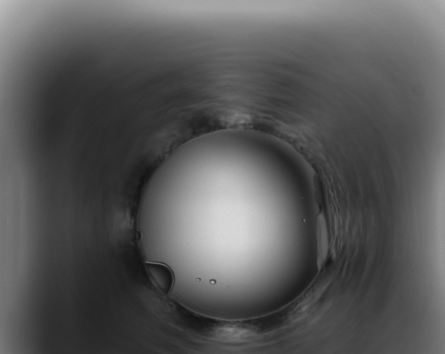 X0000088410614200705291450