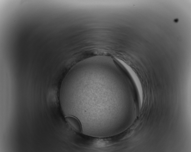 X0000088410616200705291450