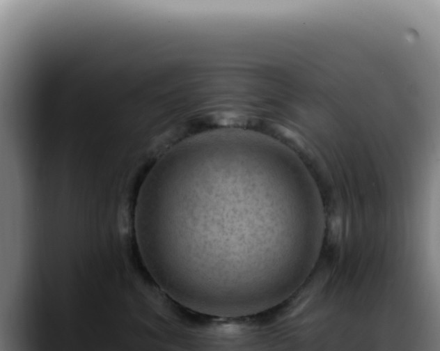 X0000088410620200705291450
