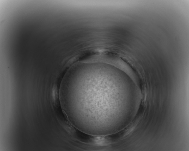 X0000088410623200705291450