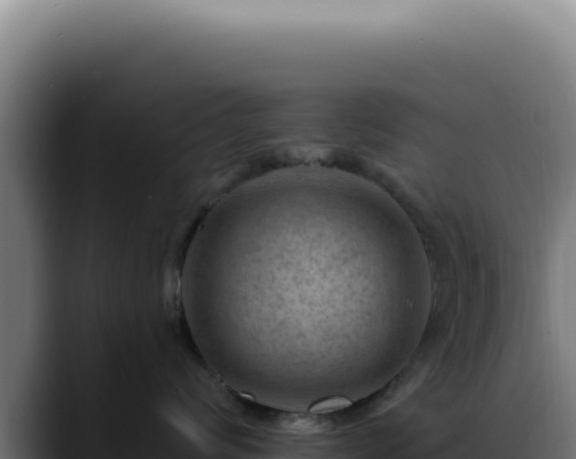 X0000088410624200705291450