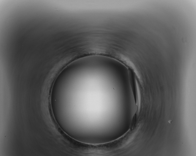 X0000088410625200705291450