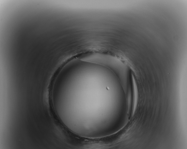 X0000088410626200705291450