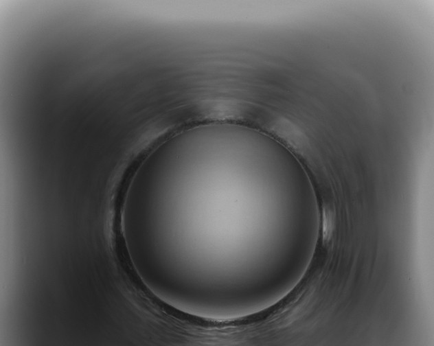 X0000088410627200705291450