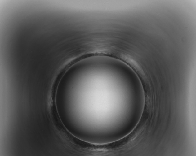 X0000088410628200705291450
