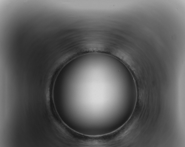 X0000088410629200705291450