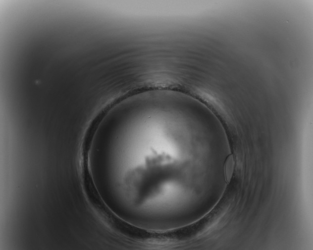 X0000088410630200705291450