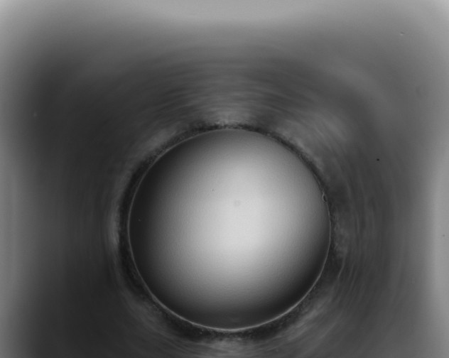 X0000088410631200705291450